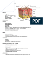 Lesiones Dermatologicas