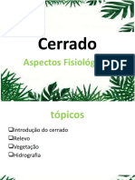 Cerrado