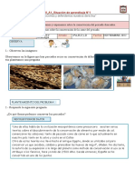 Eda9 - A1 - Sa1 - Ciencia y Tecnologia