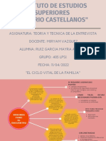 Ciclo Vital de La Familia