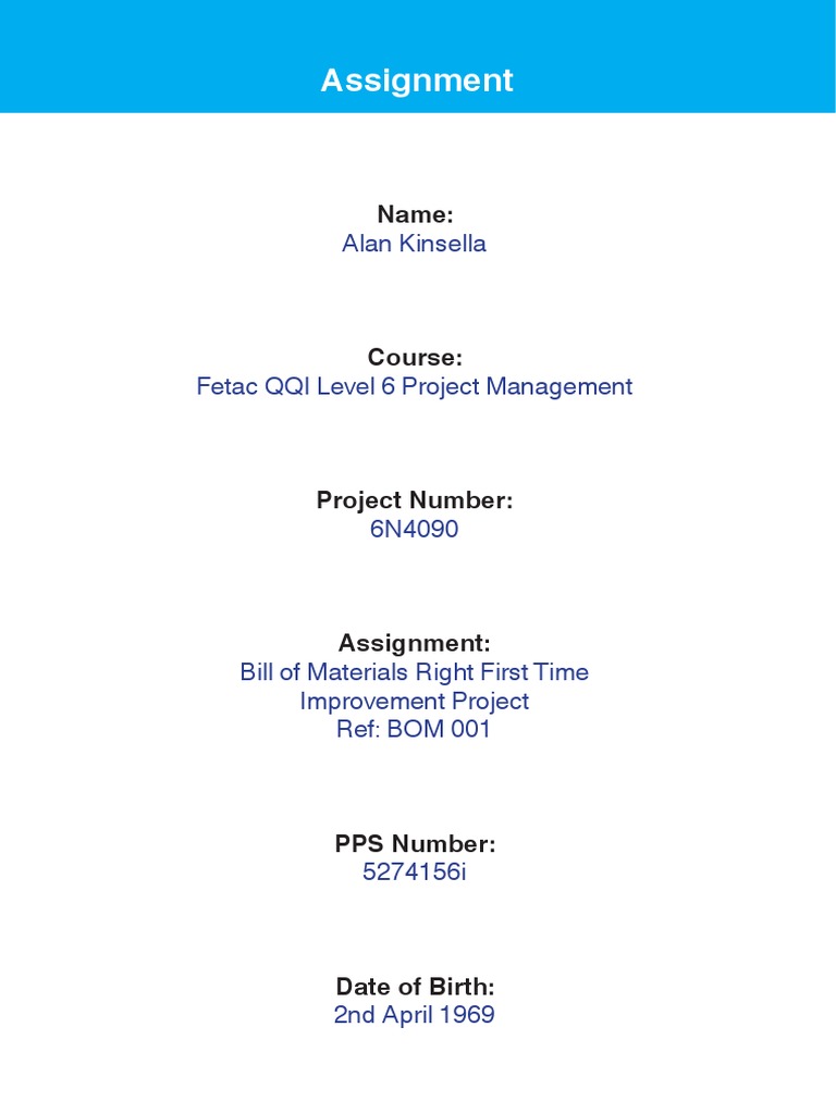 project-management-assignment-improvemen-pdf-project-management-risk