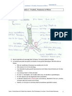 Anatomie 2: Trachée, Poumons Et Plèvre