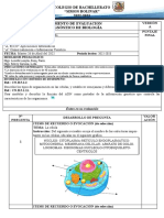 Instrumento de Evaluación Diagnóstica 2do Bachillerato Biología-Lisseth Loayza-Mercy Zaruma-2022-2023