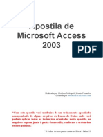 5166_Apostila Completa de Microsoft Access 2003