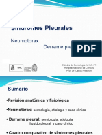 2019-Síndromes Pleurales