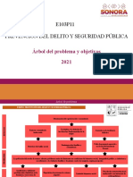 E103p11 Prevencion Del Delito y Seguridad Publica Arbol de Problemas y Objetivos