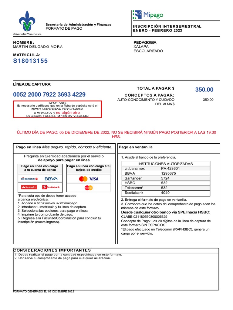 Formato de Pago | Descargar gratis PDF | Economias | Industrias de servicio