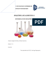 Determinaciones Bioquímicas 22