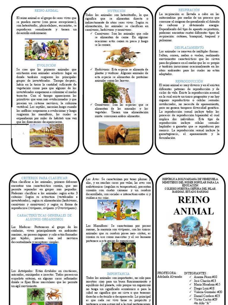 Triptico Reino Animal | PDF | Reproducción | Respiración, image size:768x1024