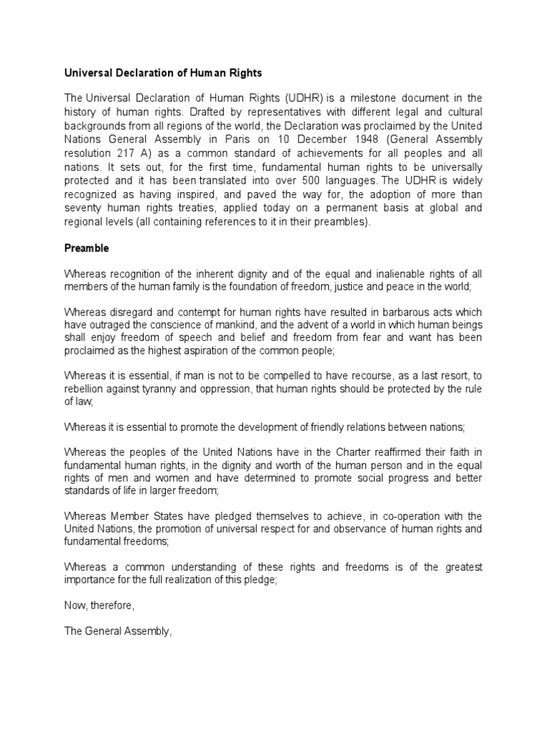 Universal Declaration of Human Rights PDF Human Rights Government