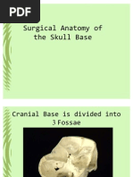 Download Surgical Anatomy of the Skull Base by Natesan_Damodara_593 SN61304148 doc pdf