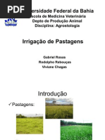 Irrigação / Agrostologia