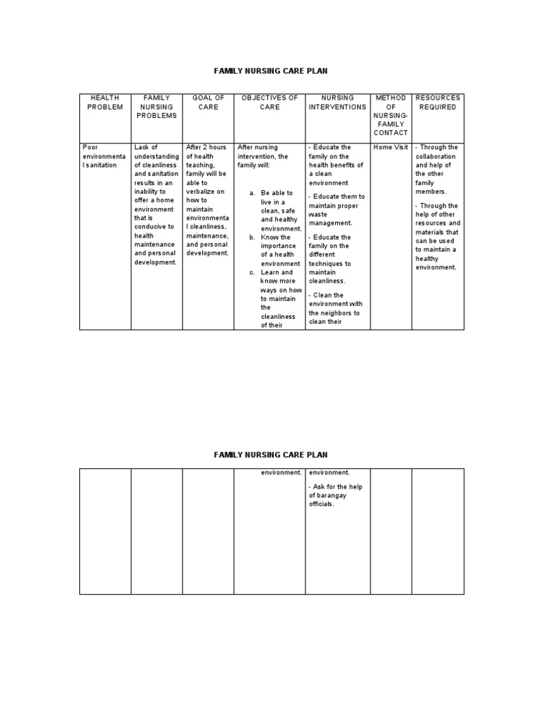family-nursing-care-plan-1-pdf-nursing-health-sciences