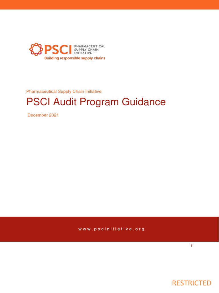 Audit Guidance For PSCI Audits PDF Audit Auditor's Report
