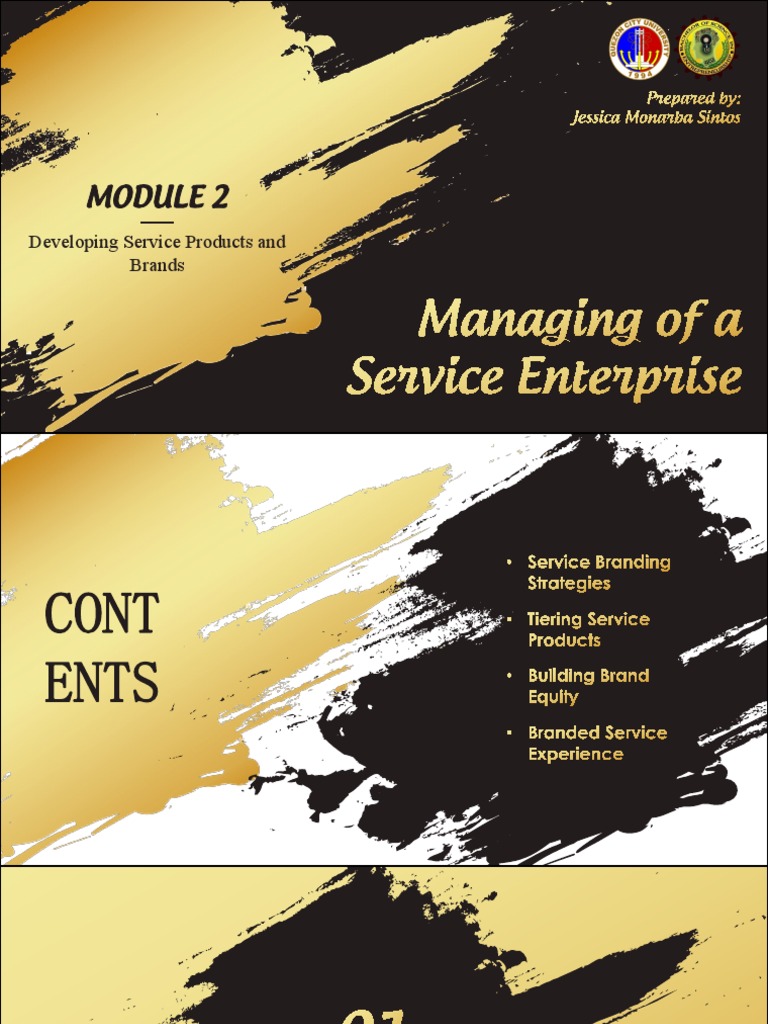 MSE Module 2 | PDF