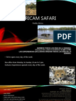 Africamsafari 211210181018