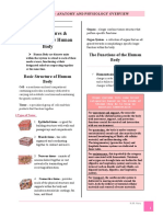 CHAPTER 1. Anatomy and Physiology Overview