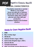 Gram Negative Enteric