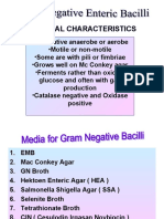 Gram Negative Enteric