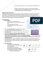 Microbial Staining Techniques