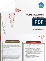 Terminologi Anatomi