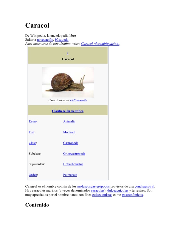 Caracola - Wikipedia, la enciclopedia libre