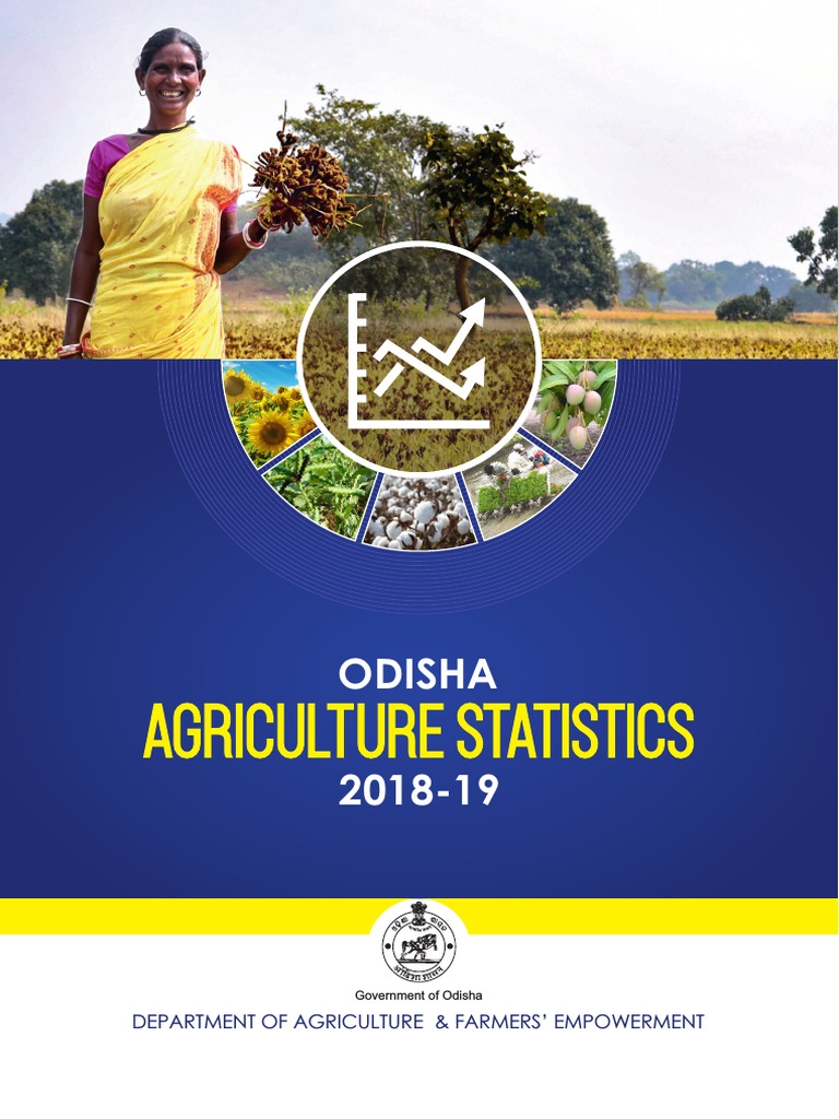 Odisha Agriculture Statistics 201819 PDF Agriculture Crops