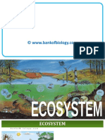 14 Ecosystem Ppt.ppsx