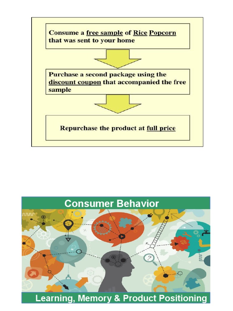 Learning and Memory in Consumer Behavior | PDF | Memory | Brand