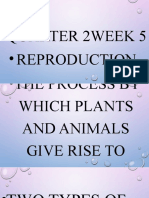 Plants and Animals Reproduction
