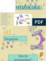 tugas kelompok protozologi