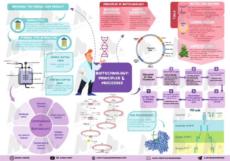 Bioreactor Components and rDNA Processes | PDF | Plasmid | Molecular ...