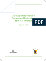 Strategie Nationale Du Commerce Electronique Cameroun