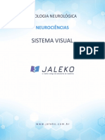 neuro_sistema_visual