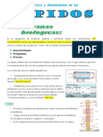 Lipidos Clase 2