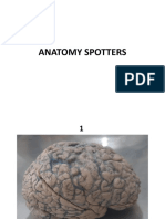 Anatomy Spotters Part 1