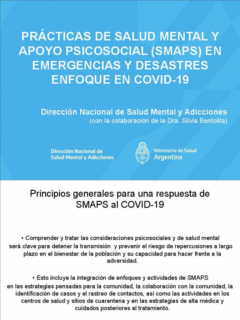 Principios generales y enfoque integral de la salud mental y el apoyo ...