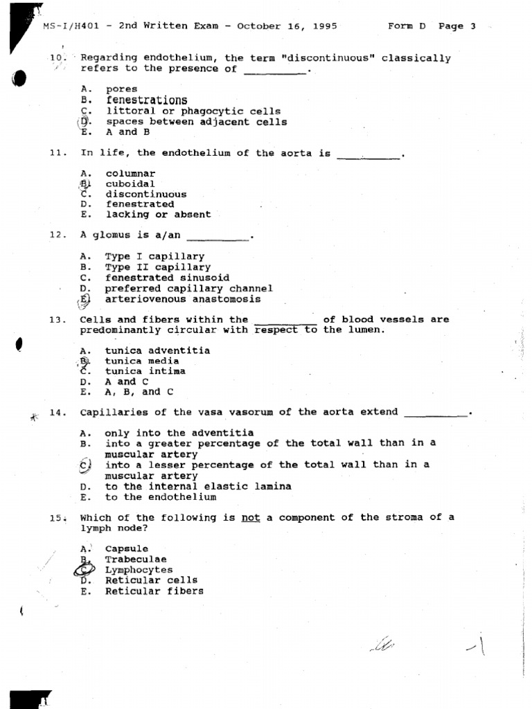MSI Histology Exam 2 Misc