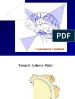 Neurociencia Tema 6