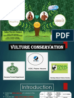 Vulture Conservation