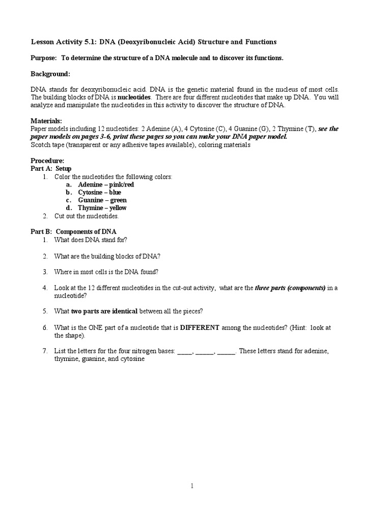 DNA_Cut_Out_Activity(3) | PDF | Dna | Nucleotides