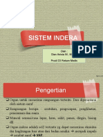 SISTEM INDERA