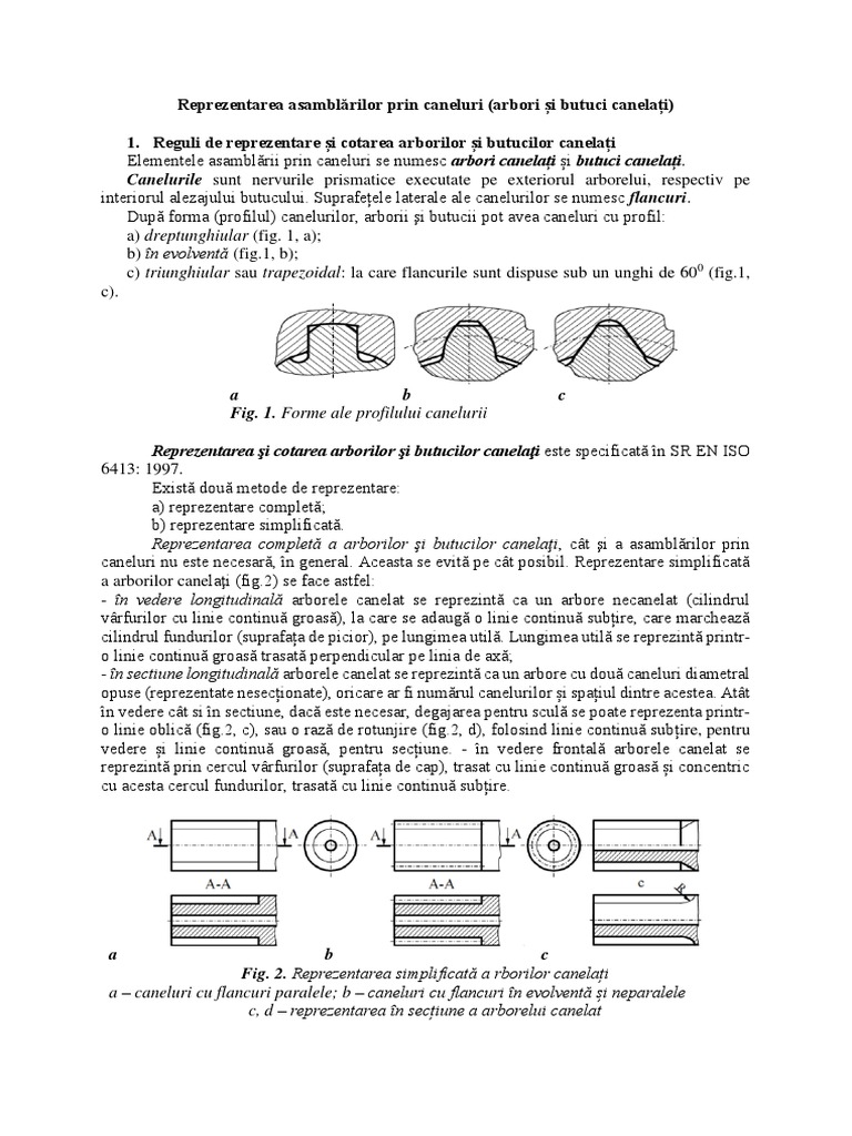 Reprezentarea Asamblărilor Prin Caneluri (Arbori Și Butuci Canelați) | PDF