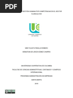 2019 Analisis Gestion Humana