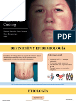 Síndrome de Cushing - Fisiopatología