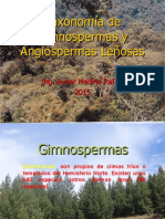 Taxonomía de Leñosas Ginospermas y Angyospermas