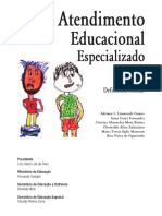 Atendimento Educacional Especializado de