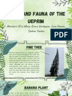 Fauna and Flora of The Ueprim