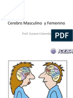 Cerebrofemeninoymasculino (Ahora)