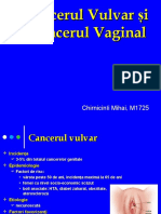 Cancerul de Vulvă Și Vagin